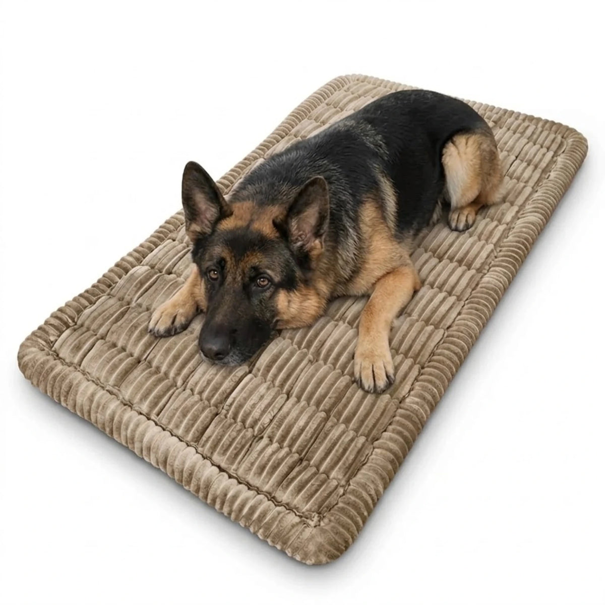 Plush Pet Car Cushion in beige ribbed corduroy with a German Shepherd lying on the dog bed against a plain white background