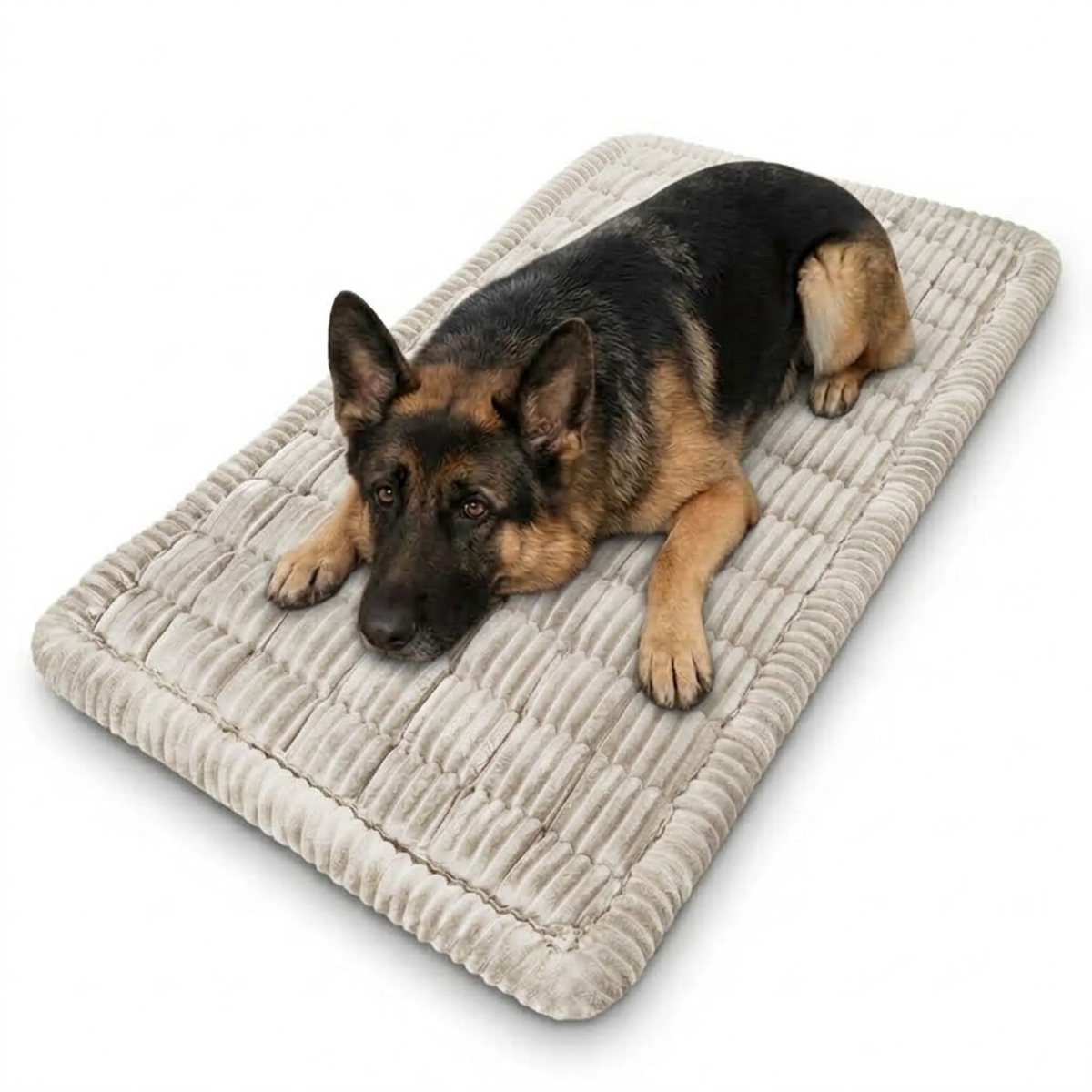 Plush Pet Car Cushion in light cream ribbed corduroy with a German Shepherd lying on it against a white background
