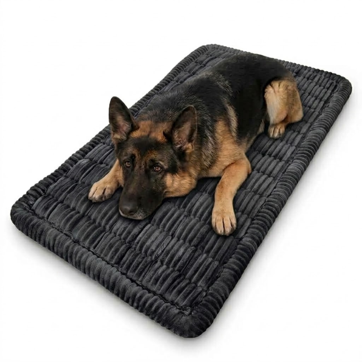Plush Pet Car Cushion in charcoal black ribbed corduroy with a German Shepherd lying on it against a white background