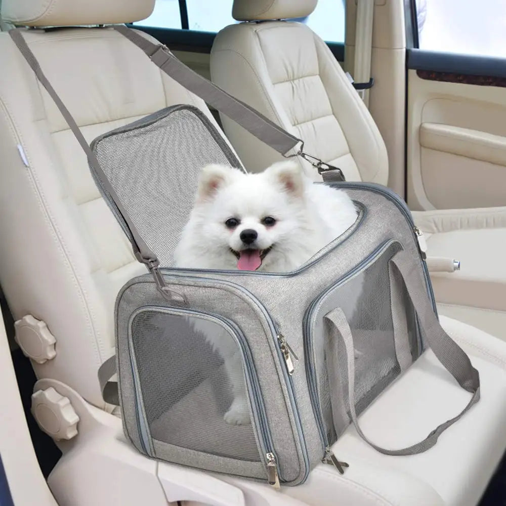 Cat peeking out of ventilated mesh top of Pet Carrier Backpack