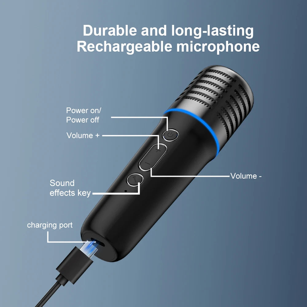 Diagram of the wireless car karaoke microphone labelling the power button, volume controls, sound effects key and USB charging port