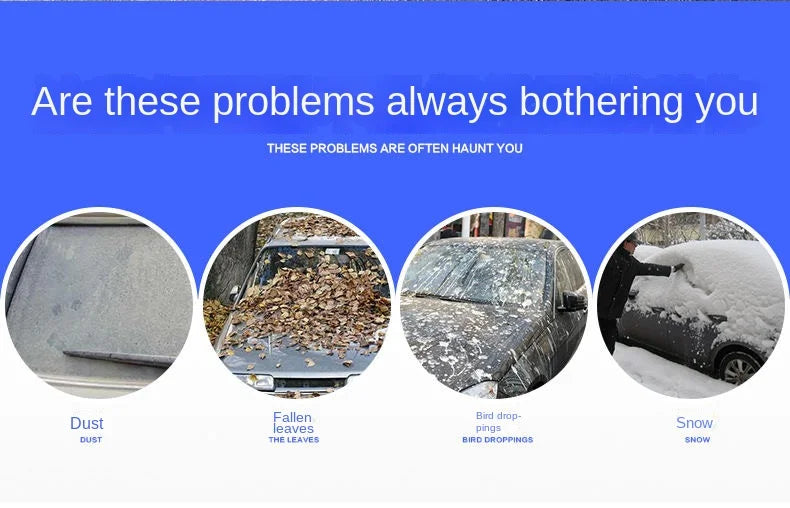 Infographic showing common car exterior problems including dust, fallen leaves, bird droppings and snow