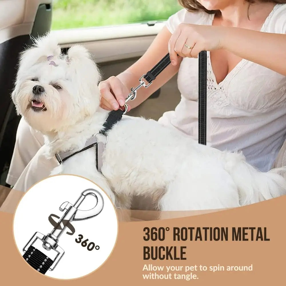 Woman clipping a dog car seatbelt tether onto a small dog's harness in the back seat of a car