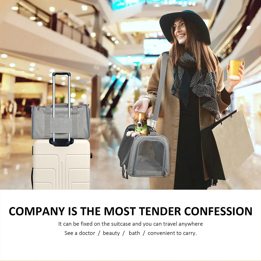 Pet Carrier Backpack feature infographic showing organic airflow mesh, padded seat, sturdy base and shoulder strap