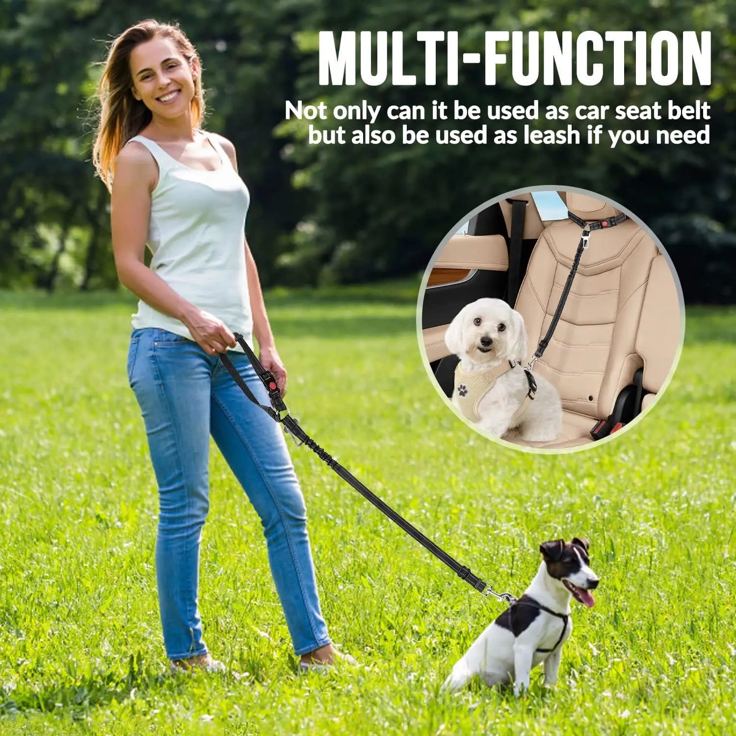 Woman walking a dog on a leash in a park, with inset showing the same lead used as a car seatbelt tether