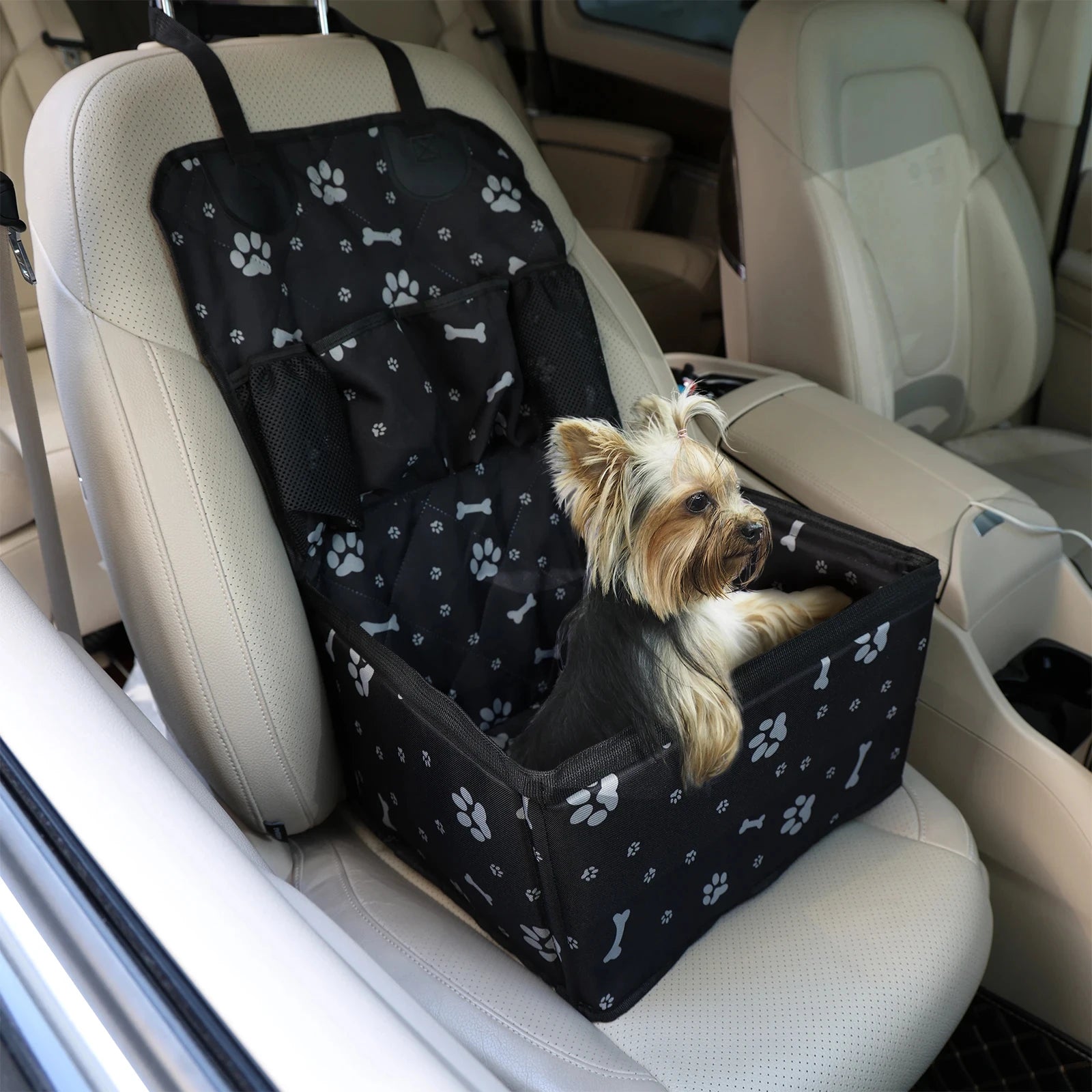 Yorkshire terrier sitting inside a black paw print waterproof dog car booster seat on a cream leather seat