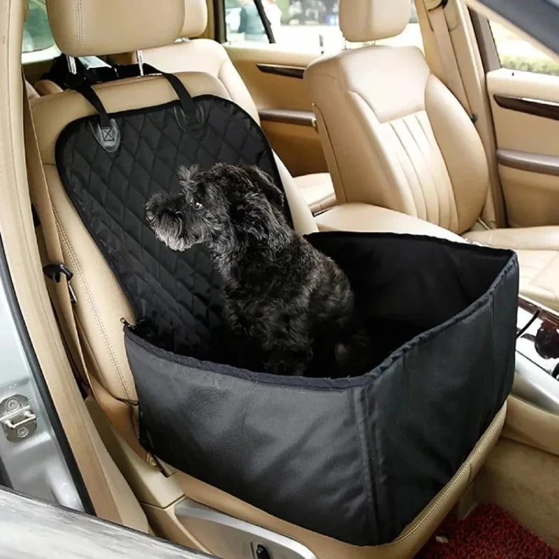 Small black terrier-cross dog sitting in the black Waterproof Dog Car Hammock booster seat on a car back seat