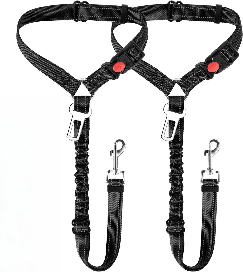 Two black nylon dog car seatbelt tethers with adjustable straps, safety buckles, and metal seatbelt clips