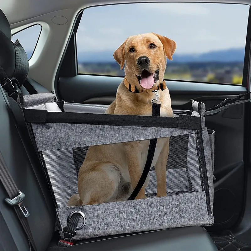 Yellow Labrador sitting in a grey portable pet car seat installed on the back seat of a car