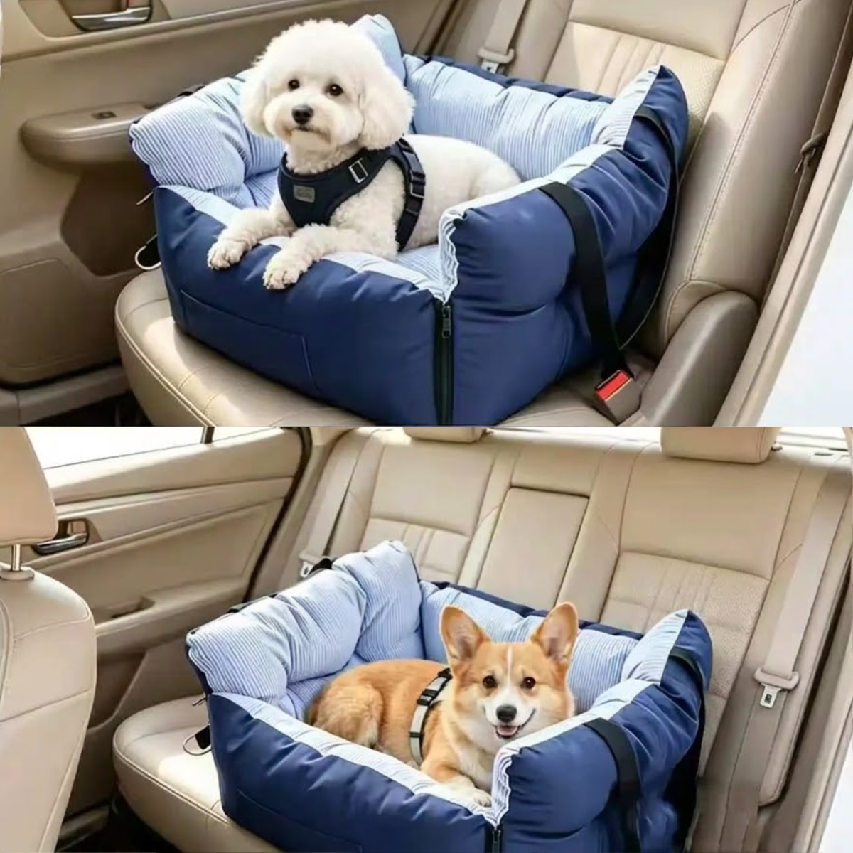 Two small dogs resting in navy Striped Pet Car Beds on beige car front and rear seats
