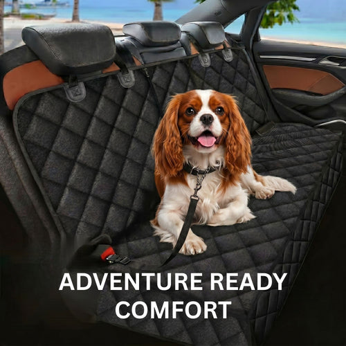 Cavalier King Charles Spaniel sitting comfortably on a waterproof pet car seat cover in the backseat of a car with a beach view out the window.