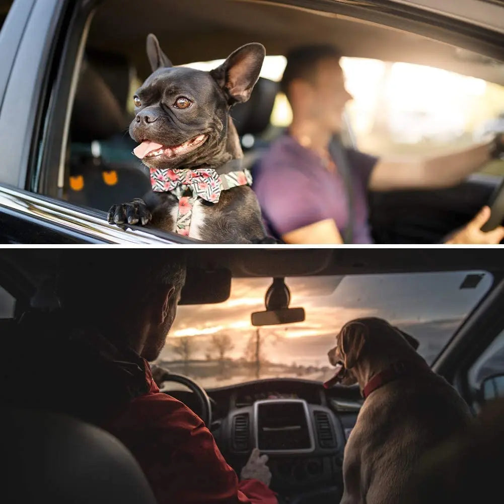 Small dog sitting on a black front passenger car seat cover while travelling in a vehicle.