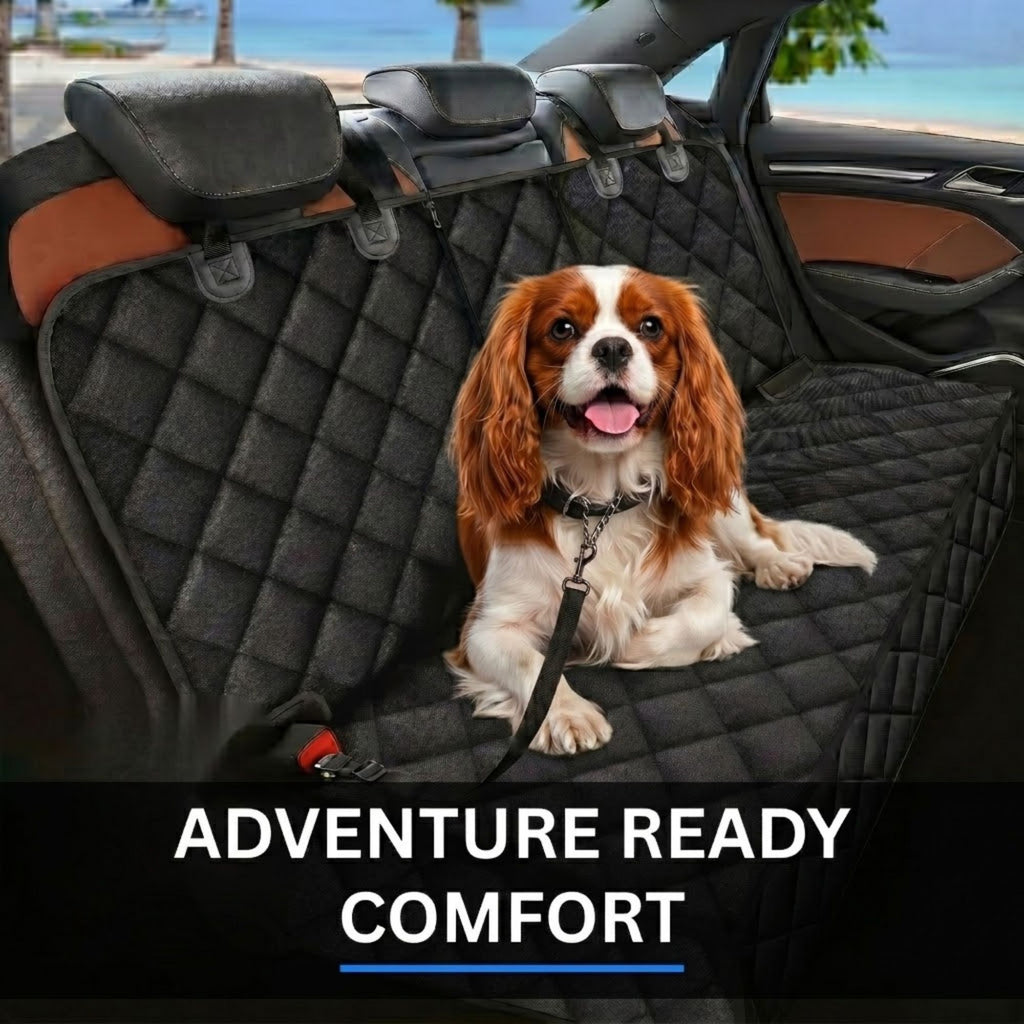 Cavalier King Charles Spaniel sitting comfortably on a waterproof pet car seat cover in the backseat of a car with a beach view out the window.