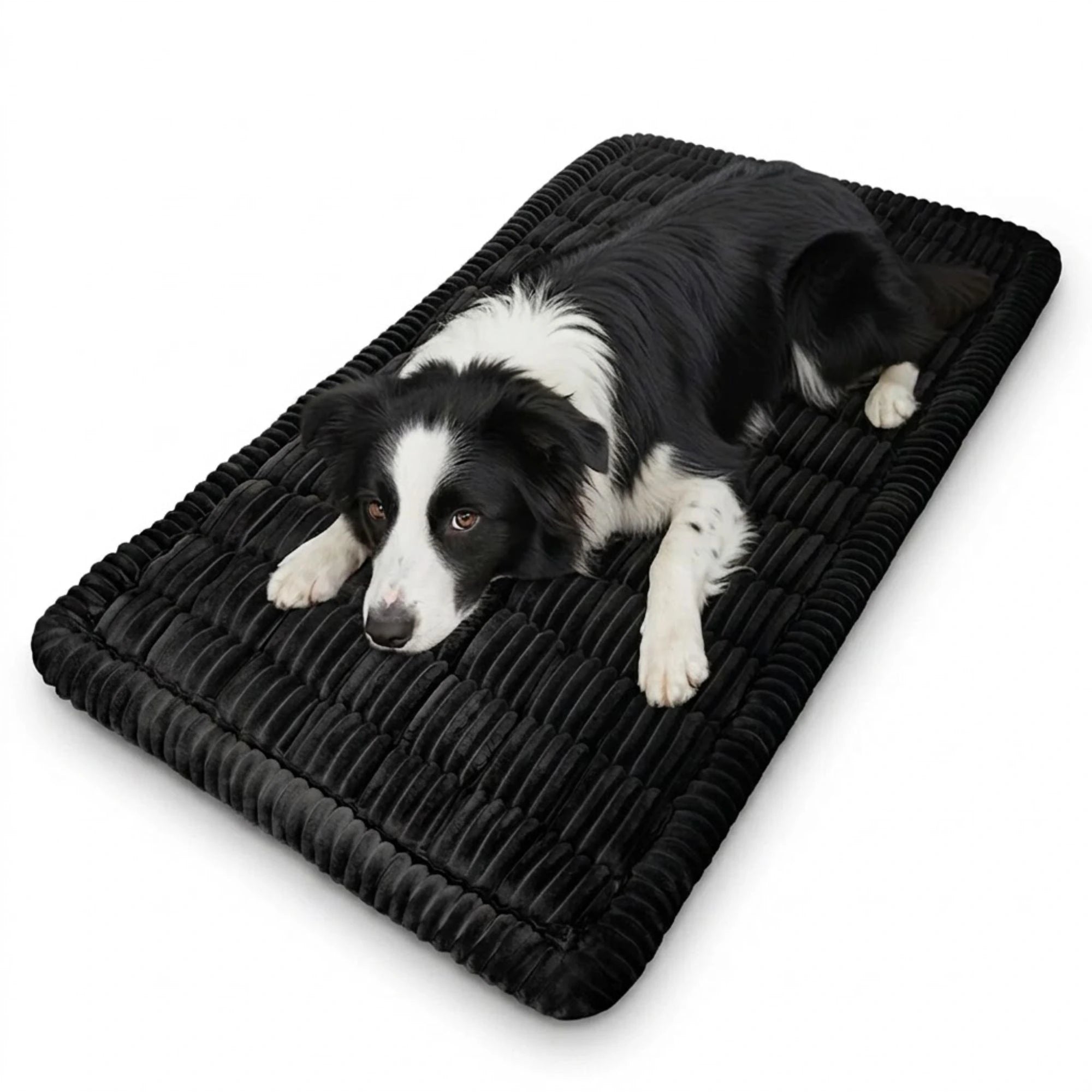 Black and white border collie lying on the black Plush Car Dog Bed covering a car back seat footwell