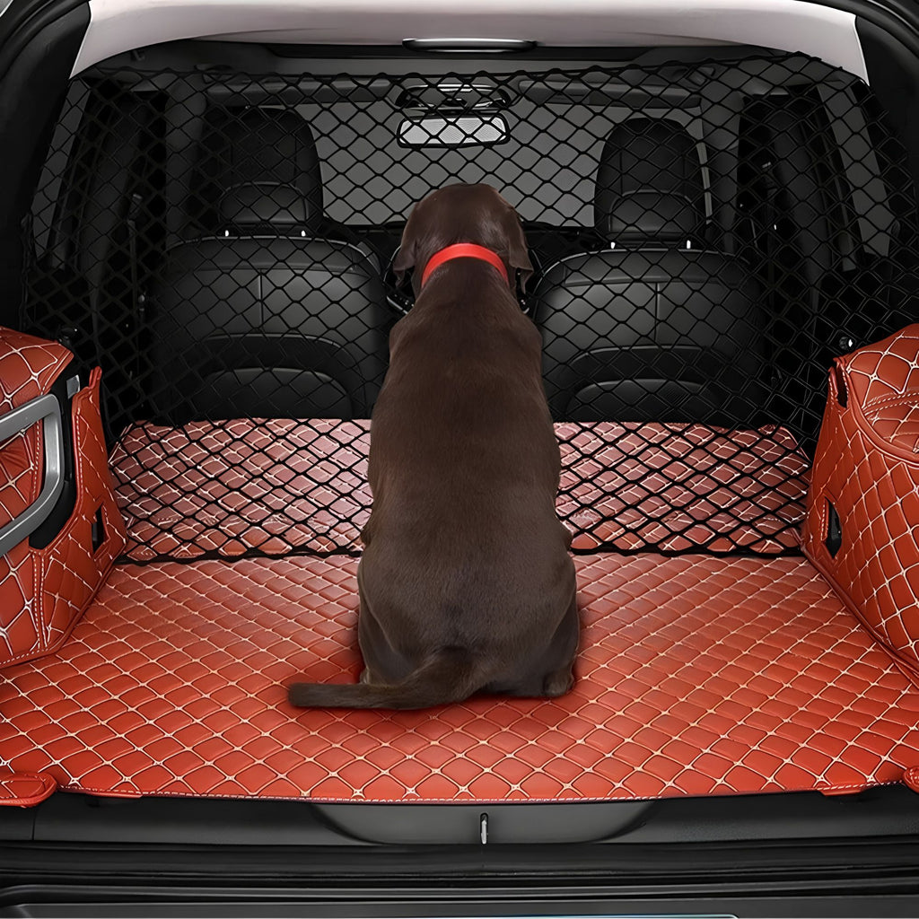 A brown dog sitting safely in a vehicle boot behind an installed black elastic mesh isolation net.