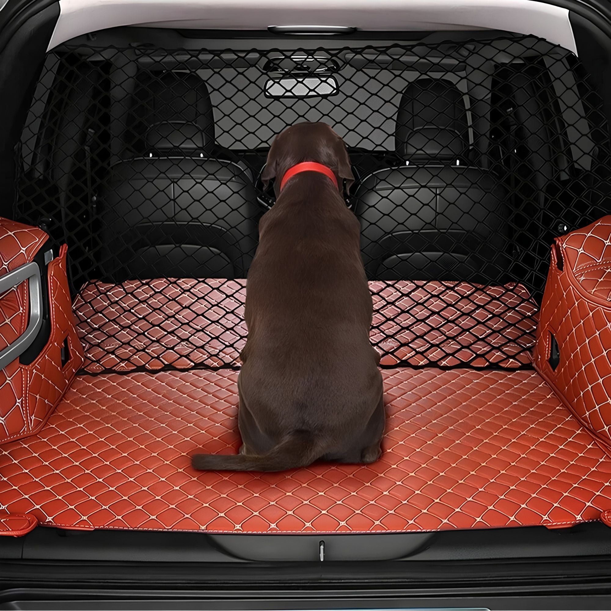 A brown dog sitting safely in a vehicle boot behind an installed black elastic mesh isolation net.