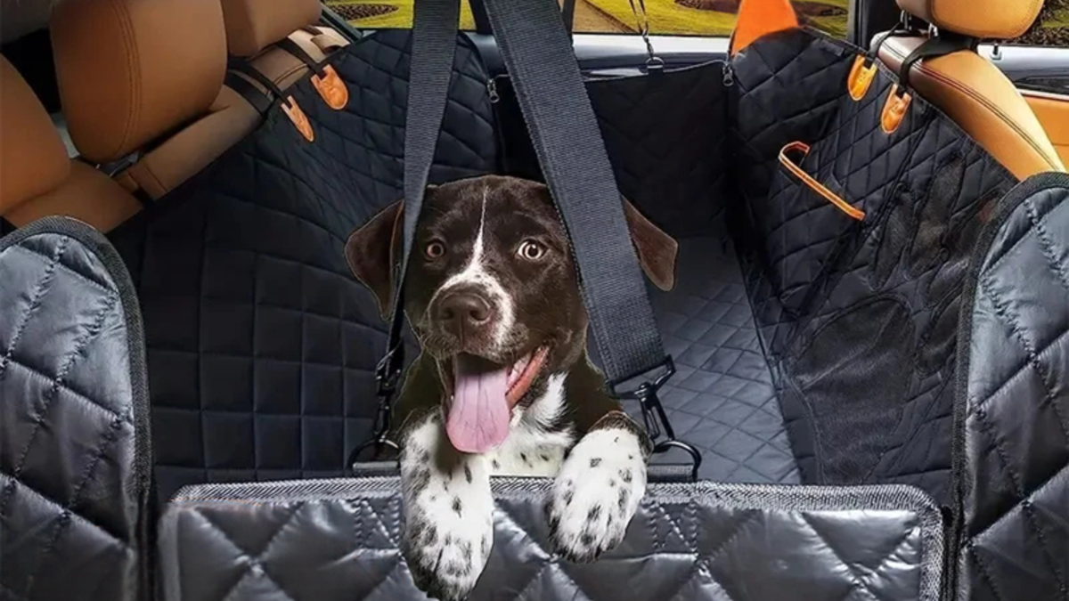 A black quilted car seat cover installed inside a vehicle, with a brown and white dog sitting on the seat and harness straps visible. The cover includes side pockets with orange accents.